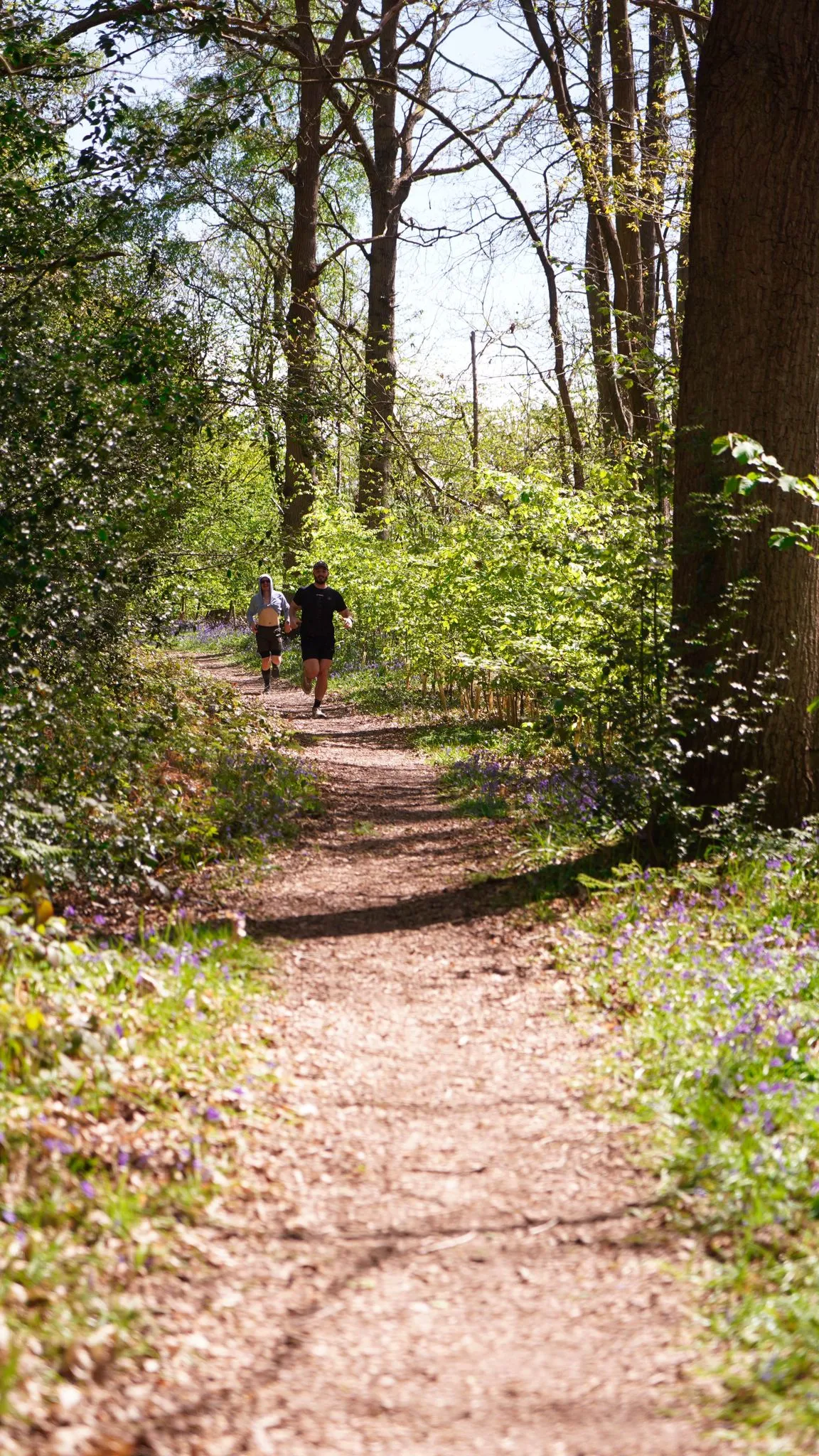 A runner on the bluebell woodland trail at Backyard Egg