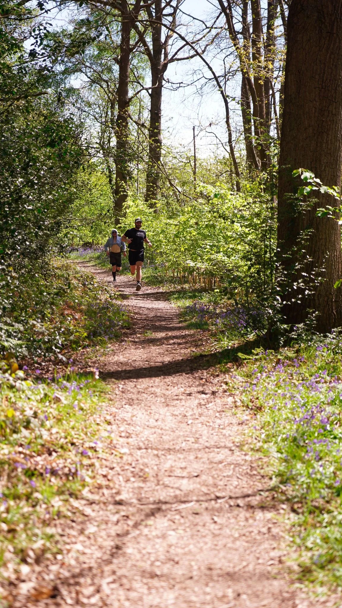A runner on the bluebell woodland trail at Backyard Egg